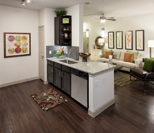 Two Bedroom Apartments For Rent in Tomball, TX - Model Kitchen Breakfast Bar with View to Living Room 