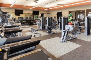 Apartment rentals in Tomball, TX - Fitness Center
